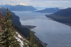 Alaska Gem GD - 1