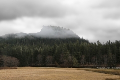 Misty Meadow 2 GD - 1
