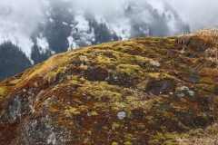 Mossy Misty Mountain side GD - 1