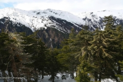 Mountain Forest 2 GD - 1