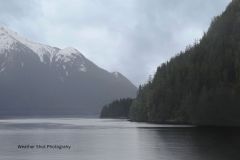 Sitka Mountain and Forest Gd - 1