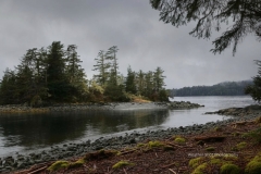 Sitka Park GD - 1