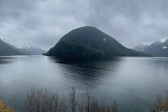 Sitka serenity  - 1