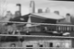 Minneapolis Rope Fence Canva BW 2 - 1