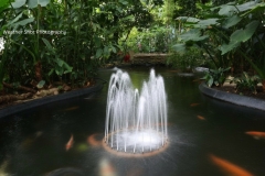 Coe Pond GD - 1
