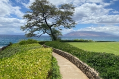 Maui Pathway - 1