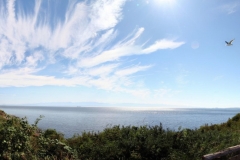 Vancouver Island Pano - 1