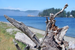 Whiffen-Spit-Stump