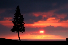 Hawaii-Big-Island-Sunset-1