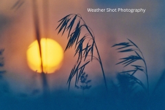 Sunset  1 GD - 1
