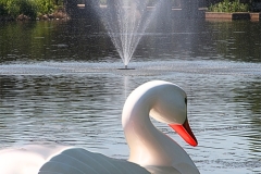 Duck Boat Fountain - 1
