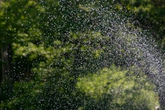 Spray