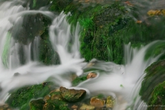 Mossy Falls GD - 1