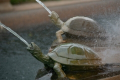 Adult Mutant Ninja Turtles