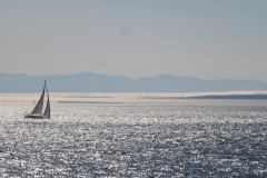 Solo Sailboat on the Straight of JDF - 1