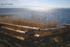 Vancouver-Island-Wood-fence-GD-scaled
