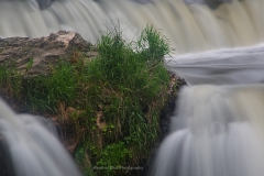 Willow River Falls Grass Rock GD - 1