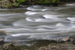 Willow River GD - 1