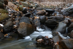 Winter Stream 4 GD - 1