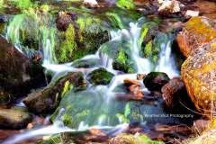 The beautiful colors of nature.